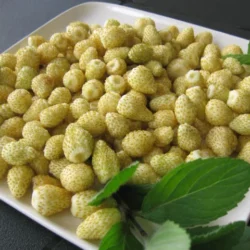 Sárga Vad Eper (YELLOW WONDER) - 10 palánta