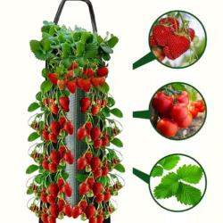 Függesztett eperültető – 8 növény befogadására alkalmas